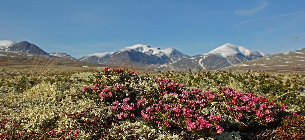 Thon Partner Hotel Otta Luaran gambar